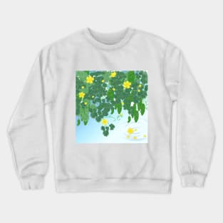 Bitter Melon/Goya (Khổ Qua) Crewneck Sweatshirt